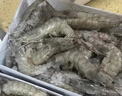 鮮京采 特大號福建活凍黑虎蝦 凈重3斤 30-45只/盒  曬單實(shí)拍圖