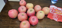 京鮮生山東煙臺紅富士蘋(píng)果 5斤裝單果75-80mm生鮮水果 源頭直發(fā) 包郵 曬單實(shí)拍圖