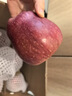 京鮮生 天水花牛蘋(píng)果 凈重8斤 單枚210g+ 生鮮水果源頭直發(fā) 曬單實(shí)拍圖