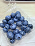 國產(chǎn)云南超大果藍莓【多地次日達JD快遞】新鮮藍莓 孕婦精選水果 4盒裝 多買(mǎi)多劃算【70-90g/盒】 中果【單果15mm+】 曬單實(shí)拍圖