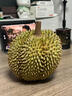 南步泰國甲侖榴蓮【順豐到家】新鮮帶殼鮮果一整個(gè)巴掌榴蓮熱帶水果 單果3-4斤【80%選擇】3-4房 曬單實(shí)拍圖
