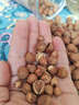 享食兔榛子東北炒熟大榛子東北特產(chǎn)原味大榛子仁堅果休閑零食品新貨2斤 曬單實(shí)拍圖