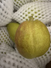 京鮮生 新疆庫爾勒香梨 凈重5斤 一級 單果100g-120g  生鮮水果 曬單實(shí)拍圖