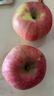 京鮮生陜西洛川紅富士?jì)糁?斤75-80mm單果170g+新鮮水果源頭直發(fā) 曬單實(shí)拍圖