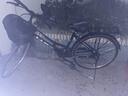 鳳凰（Phoenix）自行車(chē)女款男式復古普通勤新型省力上班代步輕便家用老式城市單車(chē) 26寸【全軸承/超輕便】仿蝶雅黑 曬單實(shí)拍圖