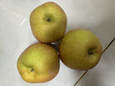 阿克蘇蘋(píng)果新疆阿克蘇冰糖心蘋(píng)果新疆直發(fā)正宗紅旗坡農場(chǎng)冰糖心蘋(píng)果京東快遞 凈重5斤中果（約12枚 單果80-85mm 180-250克）） 曬單實(shí)拍圖