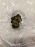 神農金康腎精草100g 嗷嗷叫黃金草 野生特級長(cháng)白山腎精茶化石草東北男士茶 曬單實(shí)拍圖