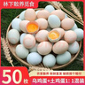九華山烏雞蛋綠殼蛋混合對半裝新鮮營(yíng)養蛋產(chǎn)地直發(fā)35-45g 買(mǎi)25烏雞蛋送25土雞蛋合計50枚 曬單實(shí)拍圖
