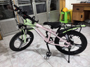 飛鴿兒童自行車(chē)6-12-18歲青少年山地車(chē)男女孩學(xué)生單車(chē)粉綠20寸變速體 曬單實(shí)拍圖