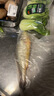冰鮮 黃花魚(yú)200-300g/條 曬單實(shí)拍圖