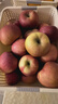 京鮮生 陜西洛川紅富士蘋(píng)果 凈重10斤裝 單果200g+ 生鮮水果 曬單實(shí)拍圖