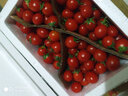 京源采現摘圣女果小番茄5斤西紅柿新鮮水果酸甜櫻桃番茄孕婦產(chǎn)地直發(fā) 廣西圣女果【店長(cháng)推薦】5斤凈重4.8斤 曬單實(shí)拍圖