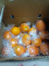 正宗贛南臍橙新鮮現摘橙香多汁當季水果 帶箱10斤裝60-70mm果（凈重9斤） 曬單實(shí)拍圖