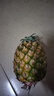 廣東徐聞香水菠蘿新鮮水果生鮮熱帶孕婦水果整箱包郵 1個(gè)裝 單果1.3-1.5斤 曬單實(shí)拍圖