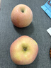 【東東農場(chǎng)專(zhuān)供】山東煙臺紅富士蘋(píng)果脆甜多汁棲霞丑蘋(píng)果 85mm+帶箱5斤 曬單實(shí)拍圖