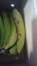 正宗廣西百色自然熟香蕉新鮮水果旺達口感香甜青蕉發(fā)貨皮薄好吃 田東香蕉2斤（帶箱） 青皮發(fā)貨 曬單實(shí)拍圖