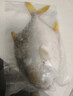 翔泰海南二去金鯧魚(yú)700g/2條去鰓去內臟免處理生鮮魚(yú)類(lèi) 海鮮水產(chǎn) 曬單實(shí)拍圖