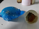 70克特大咸鴨蛋正宗特產(chǎn)整箱流油蛋農家散養鴨蛋 10枚 曬單實(shí)拍圖