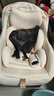 怡戈（Ekobebe）小元寶新生嬰兒提籃式兒童安全座椅汽車(chē)用寶寶便攜車(chē)載提籃奶酪白 曬單實(shí)拍圖