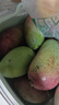 京鮮生 海南貴妃芒果 凈重4.5斤 單果100g+ 新鮮水果 源頭直發(fā) 曬單實(shí)拍圖
