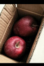 【高山原產(chǎn)地】甘肅天水花牛蘋(píng)果紅蛇粉面蘋(píng)果平果水果禮盒中秋 普箱天水花牛蘋(píng)果帶箱1斤65mm-70mm 曬單實(shí)拍圖