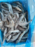 GUO LIAN國聯(lián)鹽凍大蝦凈重3斤75-90只 50/60 南美白對蝦生鮮海鮮 曬單實(shí)拍圖