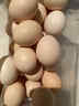 趣嘗鮮可生食標準鮮雞蛋30枚 凈重2.7斤 谷物喂養早餐食材 源頭直發(fā) 曬單實(shí)拍圖