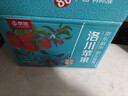 京覓洛川蘋(píng)果紅富士新鮮水果新果禮盒 凈重4.6斤單果200g起源頭直發(fā) 曬單實(shí)拍圖