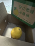 湖南懷化冰糖柚小苦柚子新鮮雪峰柚藥柚安江老樹(shù)安福金蘭柚帶箱 1-1.3斤【4粒裝】 曬單實(shí)拍圖