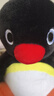 正版Pingu經(jīng)典企鵝家族毛絨玩具公仔玩偶娃娃包包可愛(ài)圣誕禮物 25cm坐姿圓眼黑企鵝 曬單實(shí)拍圖