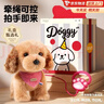 貝初眾毛絨玩具狗狗走路會(huì )叫智能仿真3歲玩具女孩生日禮物兒童3-6歲送人 金毛犬-禮盒裝【拍手感應/摸頭撒嬌/牽引控制/可拆洗】 2026火的最玩具5三歲2女小孩童男高檔實(shí)用電動(dòng)4寵物ai 曬單實(shí)拍圖
