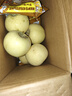 京地達山東煙臺棲霞奶油富士蘋(píng)果 凈重4.5斤單果約202g煙臺蘋(píng)果源頭直發(fā) 曬單實(shí)拍圖