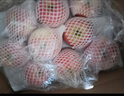 京鮮生 煙臺紅富士蘋(píng)果 凈重10斤 單果220g以上 禮盒裝 生鮮水果 曬單實(shí)拍圖