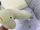 LIV HEART小恐龍玩偶公仔睡覺(jué)抱枕安撫陪睡娃娃毛絨兒童哄睡玩具禮物女 【經(jīng)典款】米多龍 L號 曬單實(shí)拍圖