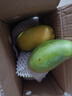 元珍鮮誠 海南青皮金煌甜心芒果當季直采芒果新鮮水果整箱送禮 含箱5斤凈重4.5斤（200-350g） 曬單實(shí)拍圖