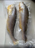 海名威 寧德三去黃花魚(yú)2斤/2條凈重 大黃魚(yú) 海鮮海魚(yú) 生鮮魚(yú)類(lèi) 地標認證 曬單實(shí)拍圖