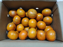 廣西武鳴沃柑新鮮當季水果大果桔子皇帝蜜橘砂糖柑橘整箱京東物流 帶箱9斤大果【新鮮采摘產(chǎn)地直發(fā)】 曬單實(shí)拍圖