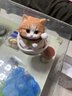 仿真貓咪模型定制硅膠寵物復刻手辦美短布偶貓離世紀念品禮物擺件 中等難度定制【來(lái)圖聯(lián)系客服】 曬單實(shí)拍圖