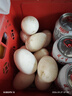 耕果妙新鮮大鵝蛋12枚凈重2.4斤散養新鮮鵝蛋100-130g/枚 源頭直發(fā)包郵 曬單實(shí)拍圖