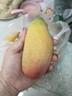 味果生海南貴妃芒果9斤新鮮當季水果孕婦樹(shù)上熟紅金龍甜心芒現摘整箱 9斤 精選大果【單果150-200g】 曬單實(shí)拍圖