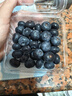 尋良萬(wàn)畝藍寶級·云南花香藍莓【JD/順豐-多地次日達】新鮮水果送禮盒年貨 125g*4盒【較劃算】丨凈100g/盒 精選大果丨單果18-20mm+丨很甜 曬單實(shí)拍圖