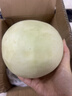 海南冰淇淋玉菇甜瓜10斤當季新鮮水果整箱 玉菇甜瓜帶箱5-6斤【凈重4.5-5斤】 曬單實(shí)拍圖