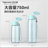 特百惠（Tupperware）樂(lè )活750ml塑料杯男女士學(xué)生運動(dòng)吸管水杯子大容量泡茶杯 馬卡藍 曬單實(shí)拍圖
