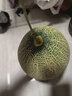 新疆西州蜜瓜1.6kg 曬單實(shí)拍圖