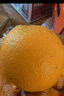 京鮮生 當季鮮橙 凈重10斤 鉑金果 單果180g起 生鮮水果橙子禮盒 曬單實(shí)拍圖