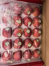 洛川蘋(píng)果陜西延安紅富士時(shí)令蘋(píng)果水果禮盒禮品蘋(píng)果生鮮新鮮脆甜整箱好吃 【新品】秦脆25枚70mm甄選禮盒裝 曬單實(shí)拍圖