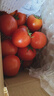 京喜加【心想柿成】山東沙瓤西紅柿水果番茄生吃減脂直播間生鮮京東快遞 新鮮西紅柿 5斤 凈重4.5斤【單果60g+】 曬單實(shí)拍圖