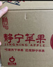 靜寧蘋(píng)果 【順豐到家】甘肅紅富士蘋(píng)果水果 新鮮應季靜寧蘋(píng)果 凈重8.6斤70-80mm+ 曬單實(shí)拍圖