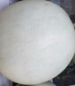京鮮生海南玉菇甜瓜 凈重4.5-5斤2粒裝 水果源頭直發(fā)包郵 曬單實(shí)拍圖