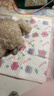 COCOYO春日櫻花中型犬印花尿墊寵物訓導消臭尿墊狗狗 M號45*60cm/50片 曬單實(shí)拍圖